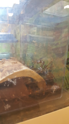 Pet Supply Store «PetSmart», reviews and photos, 11835 Retail Dr, Wake Forest, NC 27587, USA