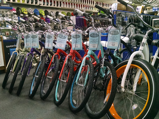 Agee's Bicycles West Broad