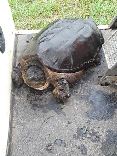 Golf Course «Knob Hill Golf Course», reviews and photos, 1 Shinnecock Dr, Manalapan Township, NJ 07726, USA