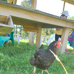 Photo n° 1 de l'avis de Laë.. fait le 29/07/2021 à 10:28 pour Ferme pédagogique les 2 cocottes à Saint-Didier-d'Aussiat