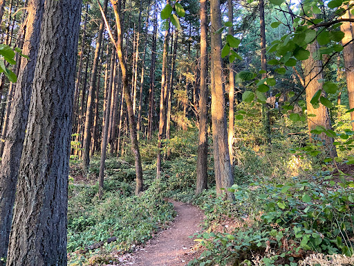 Nature Preserve «Tacoma Nature Center», reviews and photos, 1919 S Tyler St, Tacoma, WA 98405, USA