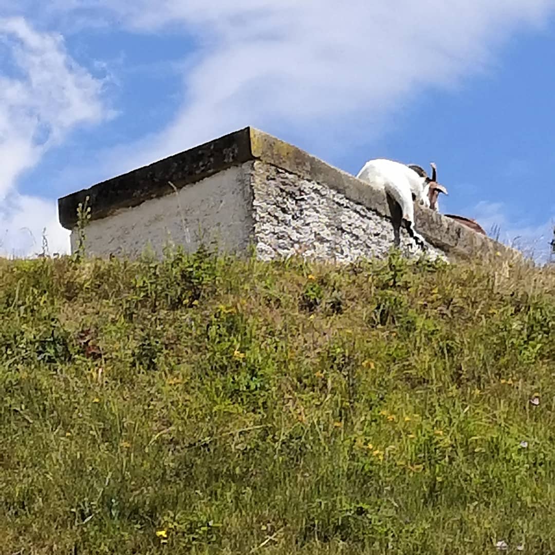 Photo n° 2 de l'avis de Jenny. fait le 15/07/2020 à 17:50