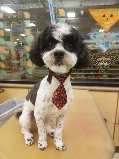 Pet Supply Store «PetSmart», reviews and photos, 1300 John F Kennedy Rd, Dubuque, IA 52002, USA