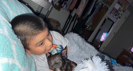 Animal Shelter «Oregon Humane Society», reviews and photos