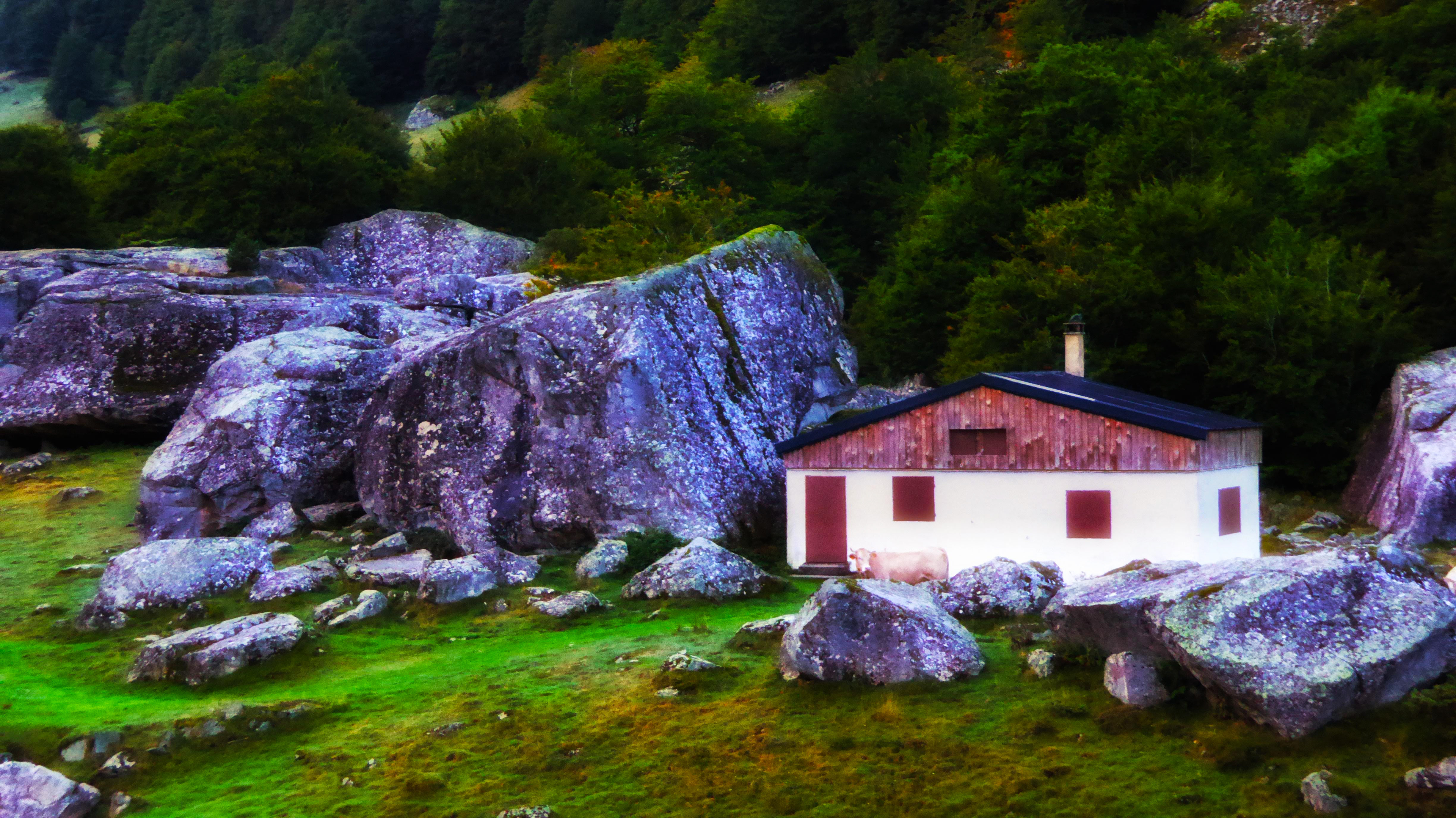 Photo n° 1 de l'avis de Christovão.l fait le 19/12/2023 à 12:33