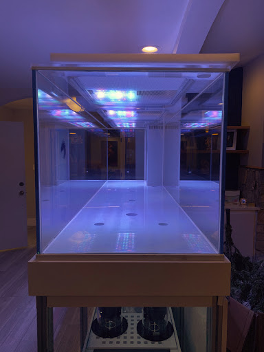 Tropical Fish Store «Southeast Aquariums», reviews and photos, 135 Stanley Ct #211, Lawrenceville, GA 30046, USA