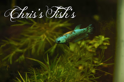 Chris's Fish's