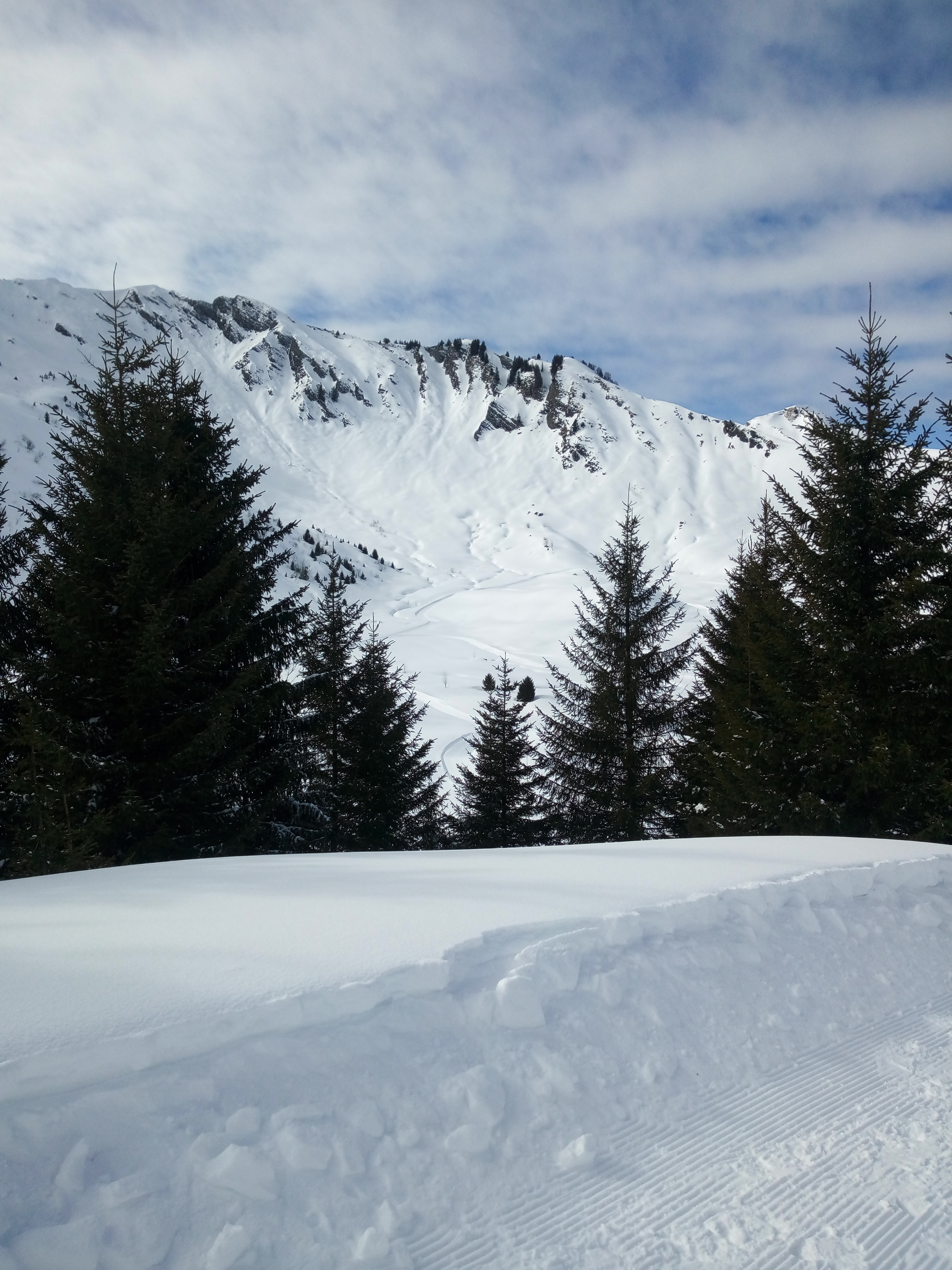 Photo n° 15 de l'avis de Lydia.o fait le 29/02/2020 à 19:49