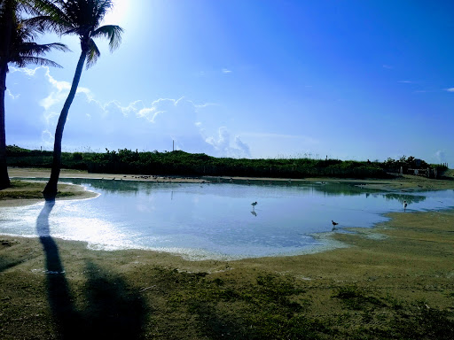 Park «Lummus Park», reviews and photos, Ocean Dr, Miami Beach, FL 33139, USA