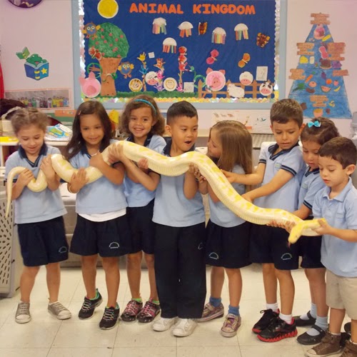 Preschool «Weston Learning Academy», reviews and photos, 16602 Saddle Club Rd, Weston, FL 33326, USA