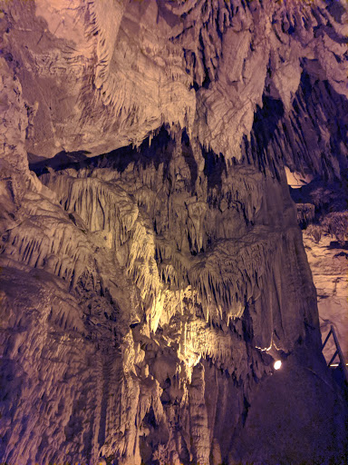 National Park «Mammoth Cave National Park», reviews and photos