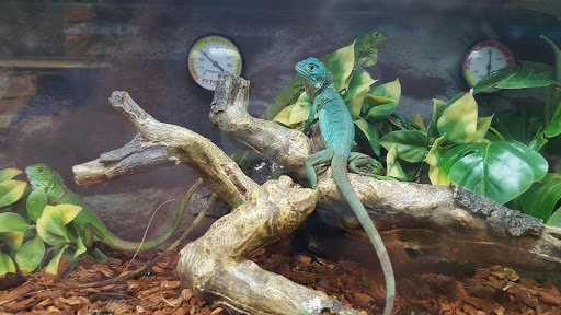 Pet Supply Store «Petco Animal Supplies», reviews and photos, 1337 N National Rd, Columbus, IN 47201, USA