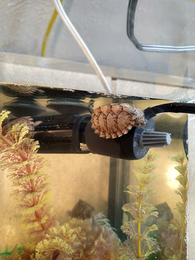 Pet Supply Store «Pets For You», reviews and photos, 413 N Main St, Rice Lake, WI 54868, USA