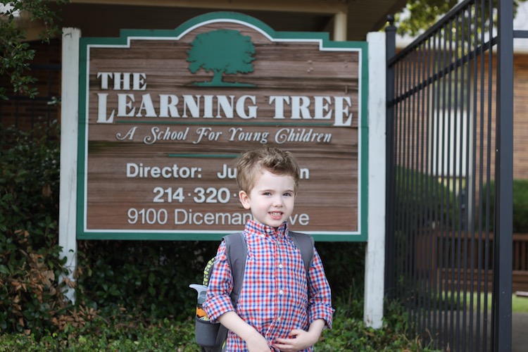 The Learning Tree School