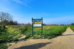 Van Gogh - Le Champ De Blé Aux Corbeaux image