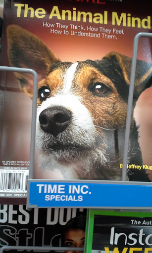 Department Store «Walmart Supercenter», reviews and photos, 6660 Godfrey Rd, Godfrey, IL 62035, USA