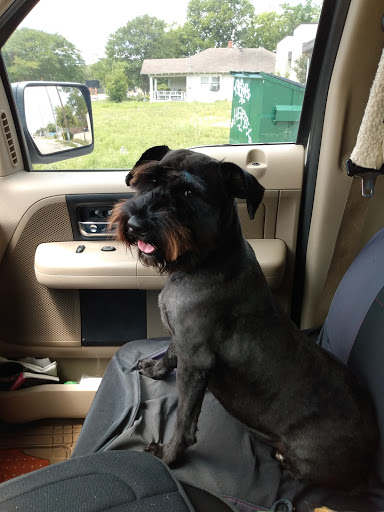 Pet Store «Oak Clips Pet Boutique & Grooming», reviews and photos, 502 N Edgefield Ave, Dallas, TX 75208, USA