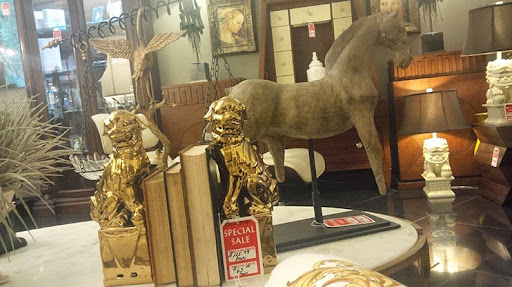 Pet Store «Puppy Boutique Store», reviews and photos, 4001 N Federal Hwy, Fort Lauderdale, FL 33308, USA