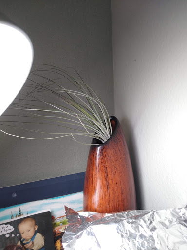 Hardware Store «Ace Hardware», reviews and photos, 3636 S Washington Ave, Titusville, FL 32780, USA