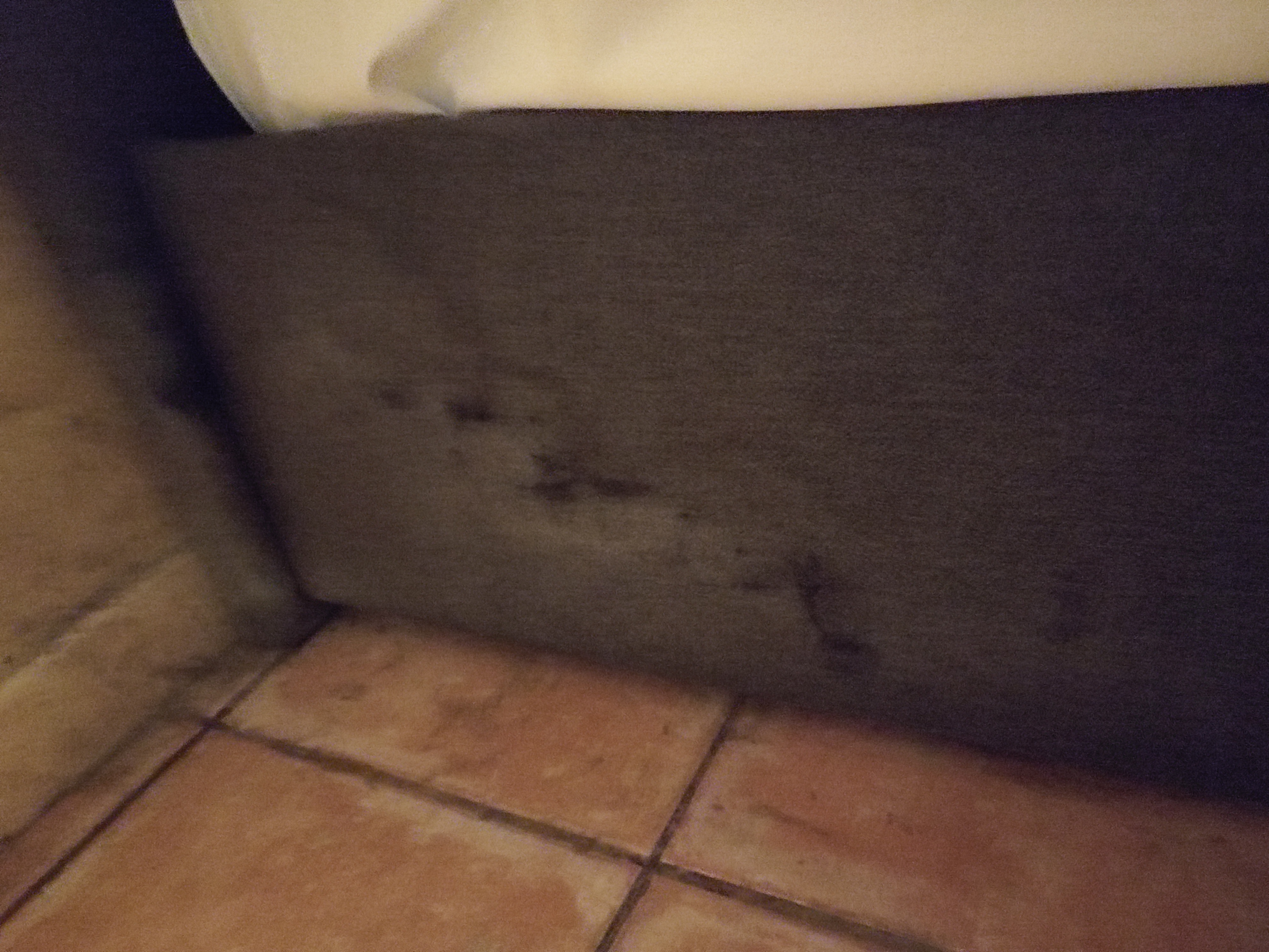 Photo n° 22 de l'avis de Oka.a fait le 18/02/2024 à 11:40