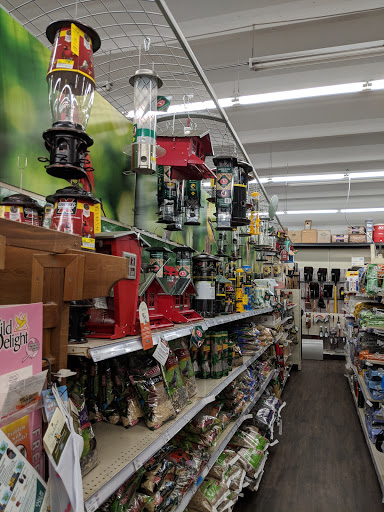 Hardware Store «Classic Ace Hardware», reviews and photos, 1622 Woodruff Rd, Greenville, SC 29607, USA