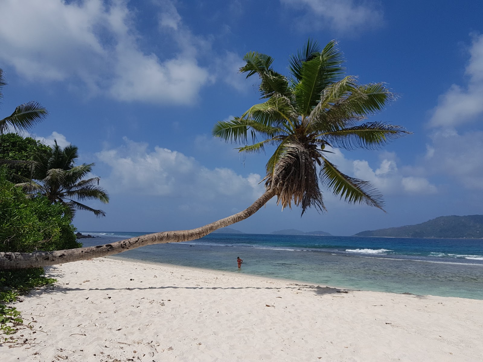Photo de Anse Fourmis Beach zone sauvage