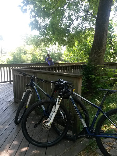 Bicycle Store «Beer City Bicycles», reviews and photos, 144 Biltmore Ave, Asheville, NC 28801, USA