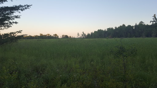 National Park «Voyageurs National Park», reviews and photos