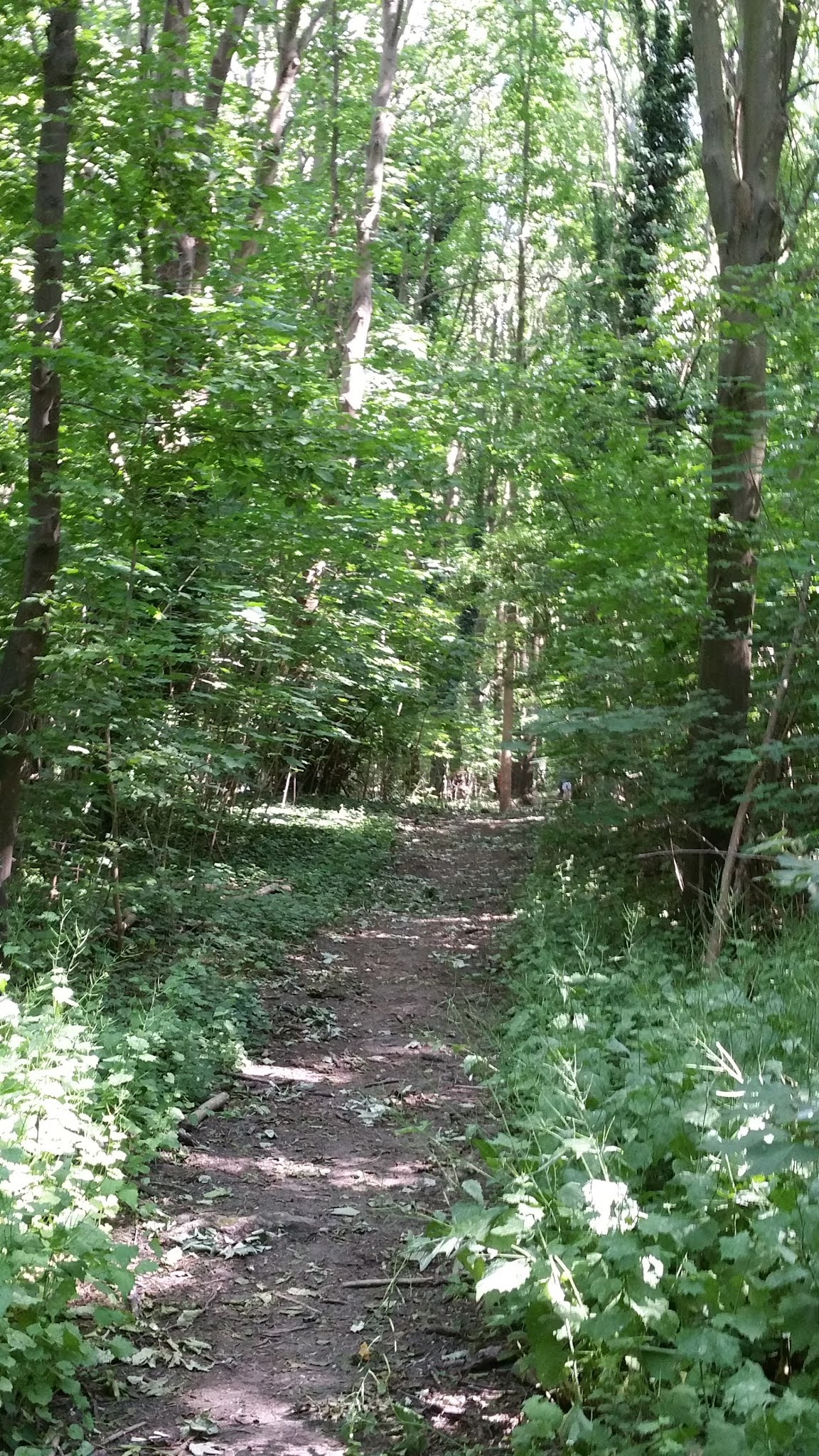 Photo n° 4 de l'avis de Laurent.o fait le 21/05/2020 à 16:25