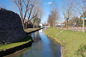 Walls of Treviso image