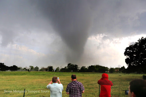 Tourist Attraction «Tempest Tours, Inc.», reviews and photos, 690 E Lamar Blvd, Arlington, TX 76011, USA