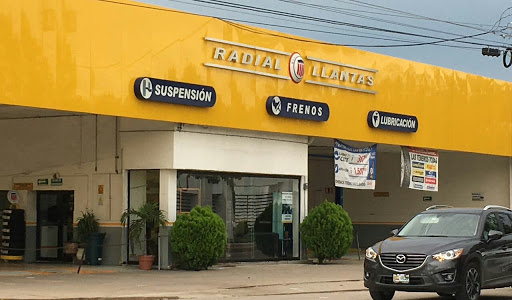 RADIAL LLANTAS Matriz Palmas