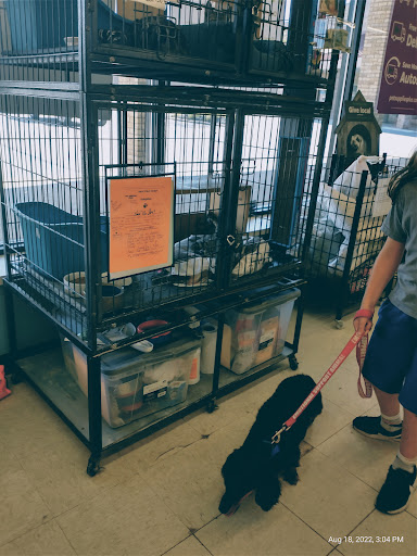 Pet Supply Store «Pet Supplies Plus», reviews and photos, 7315 Mentor Ave, Mentor, OH 44060, USA