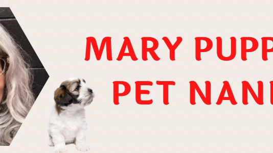 Mary Puppins the Pet Nanny LLC