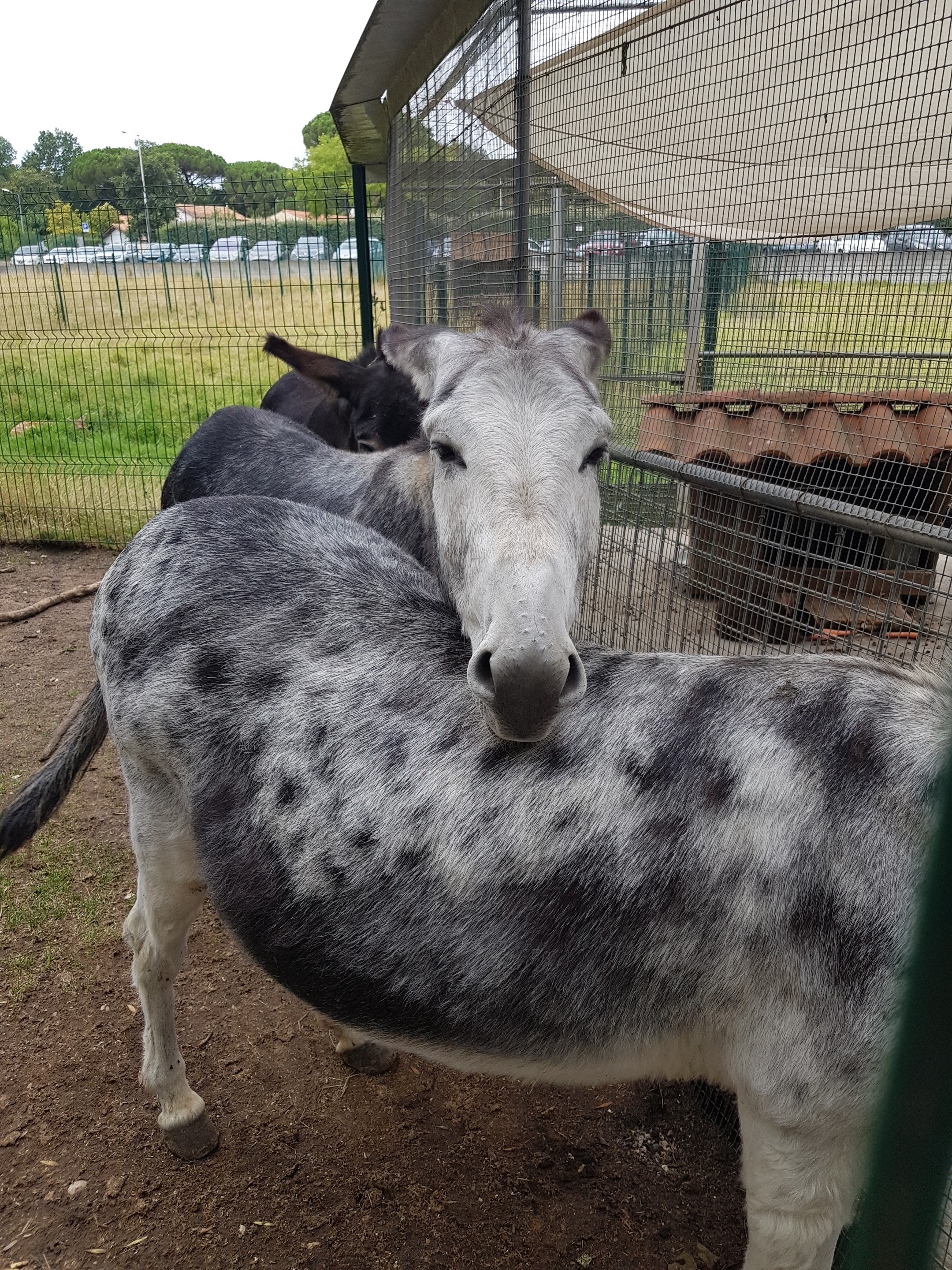 Photo n° 1 de l'avis de Roxane.o fait le 18/08/2019 à 18:56