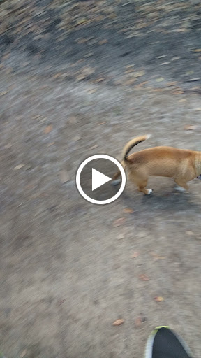 Park «John Williams Park», reviews and photos, 6101 Sheridan St, Hollywood, FL 33021, USA