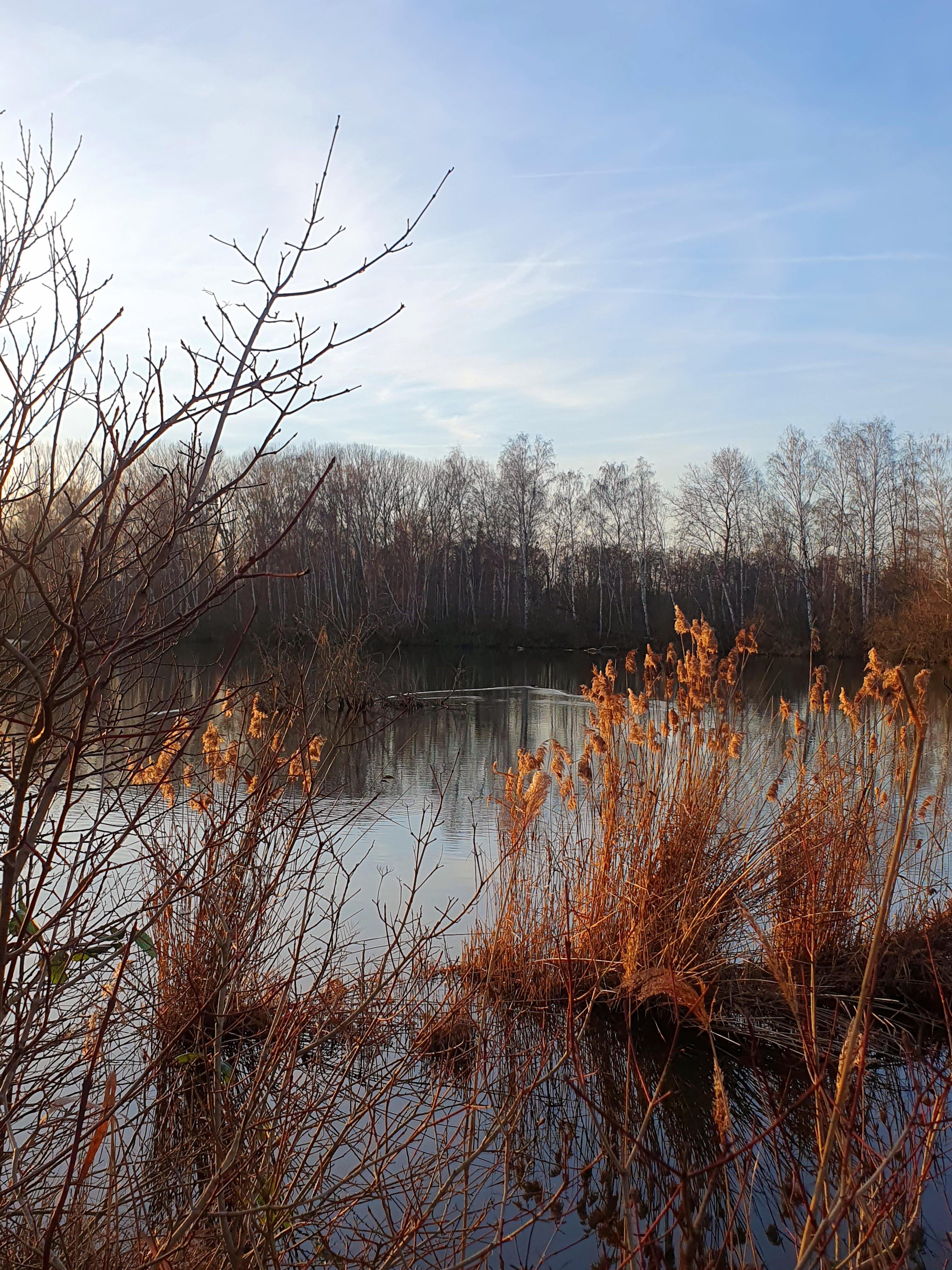 Photo n° 1 de l'avis de Albert.l fait le 27/01/2024 à 21:21