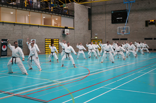 UCD Karate