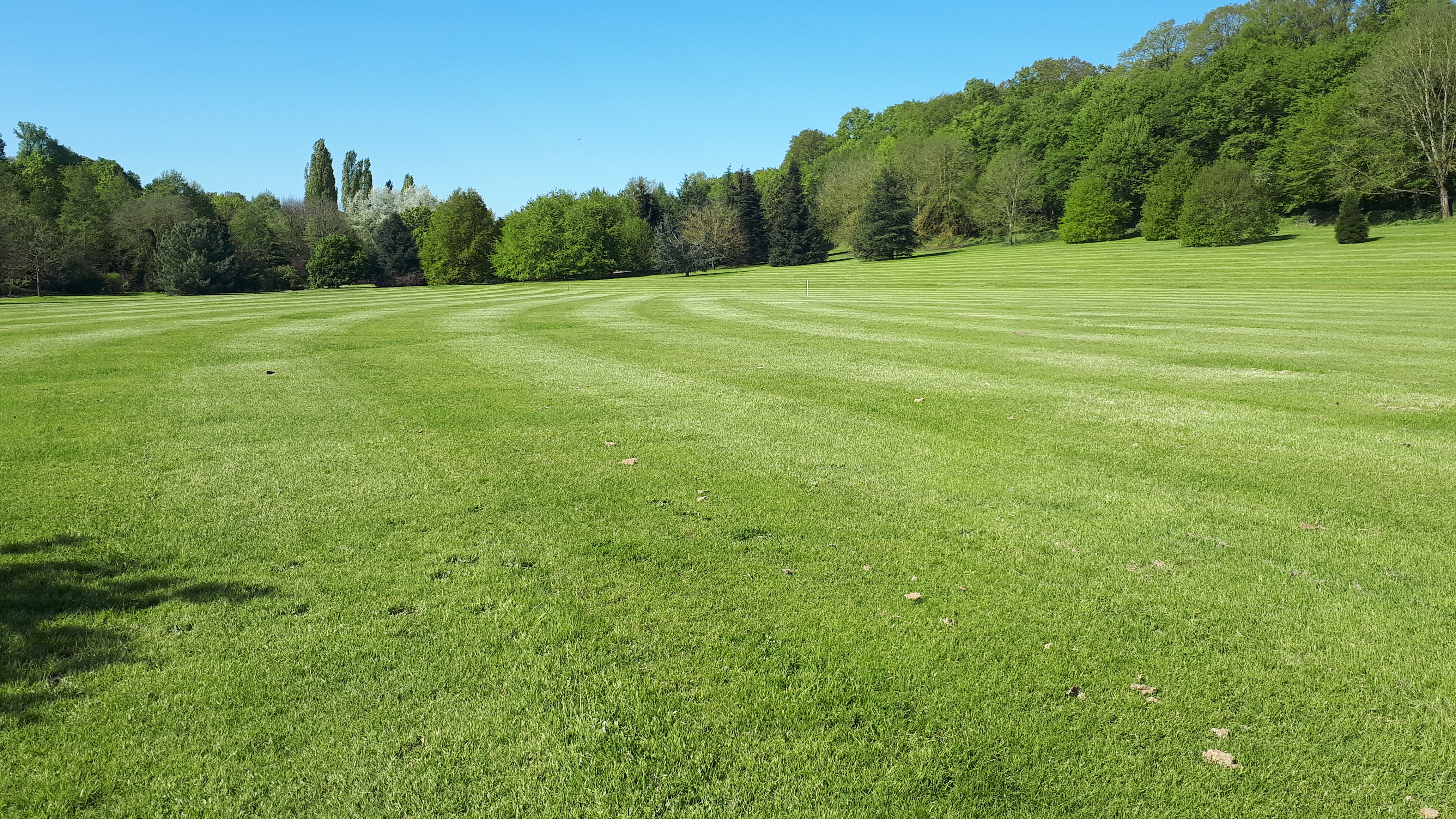 Photo n° 11 de l'avis de Frederic.e fait le 12/05/2019 à 10:55