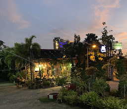 Curve Cafe photo