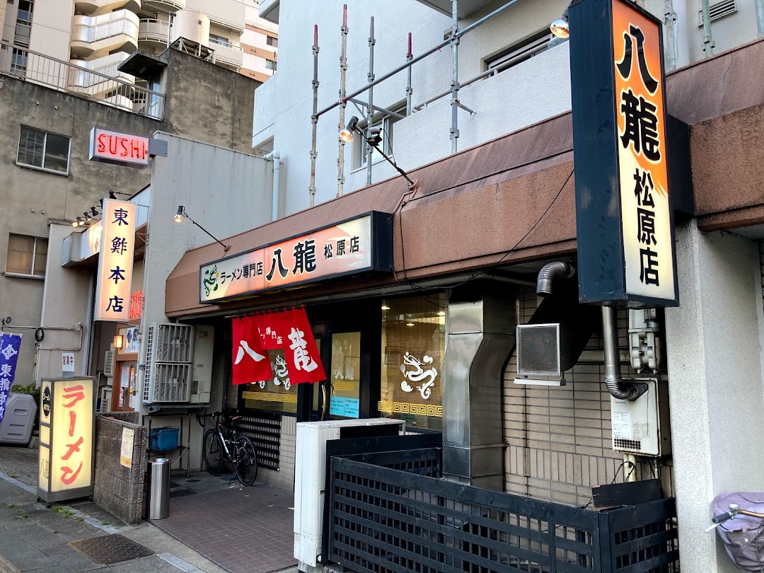 八龍 松原店