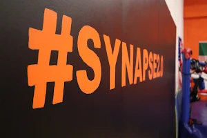 Synapse2.0 Boxing image