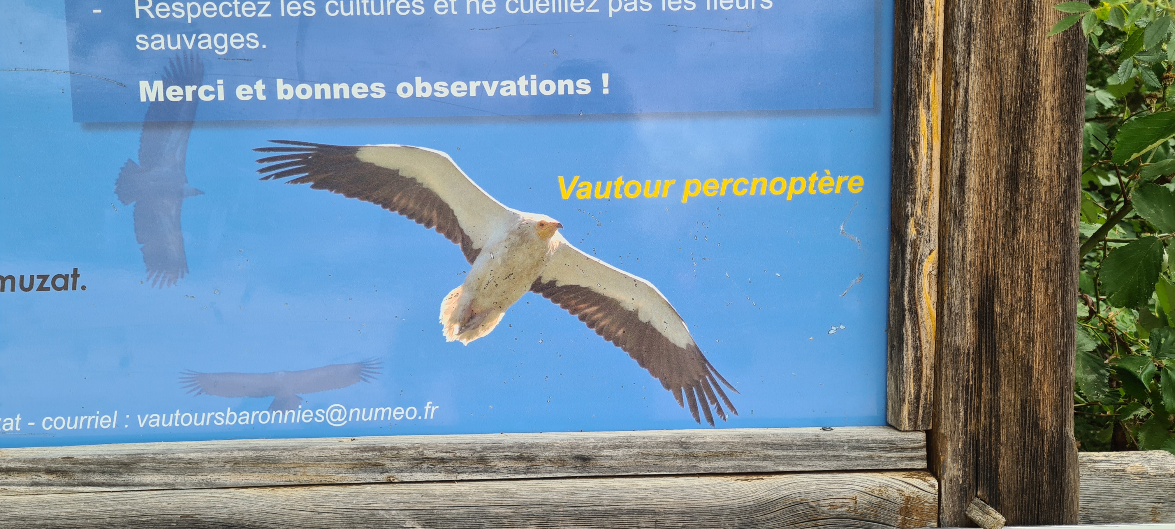 Photo n° 9 de l'avis de Fabien.a fait le 25/07/2023 à 19:28