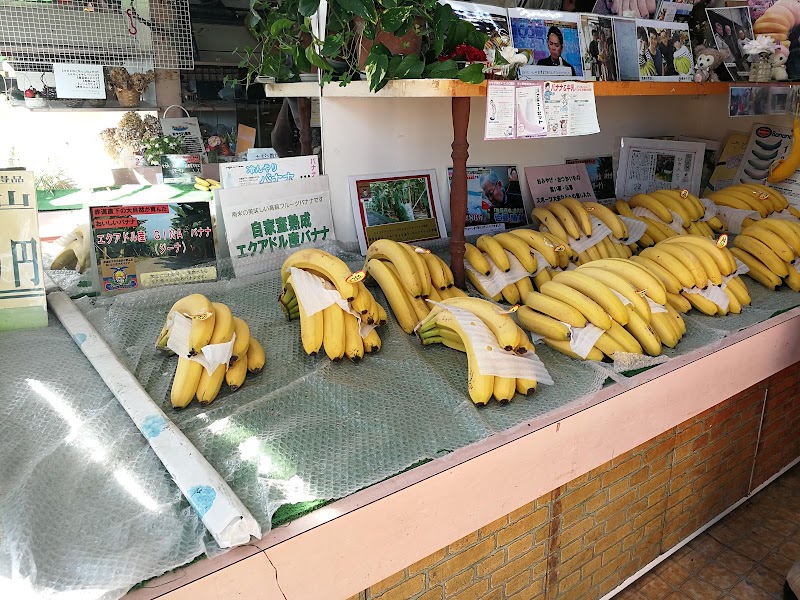 佐藤バナナ店