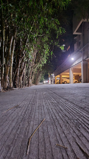 Google Maps image 10