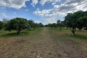 Maasai Mara Botanical Garden image