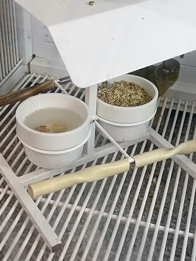 Pet Supply Store «Petco Animal Supplies», reviews and photos, 157-20 Cross Bay Blvd, Howard Beach, NY 11414, USA