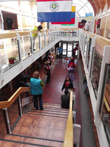 Opiniones de Centro Artesanal P. A. (No somos el Mercado) en Punta Arenas - Centro comercial