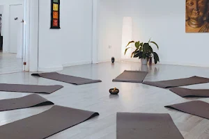 Om Trivi - Yoga & Bienestar. Especialistas en pilates y yoga con columpio image