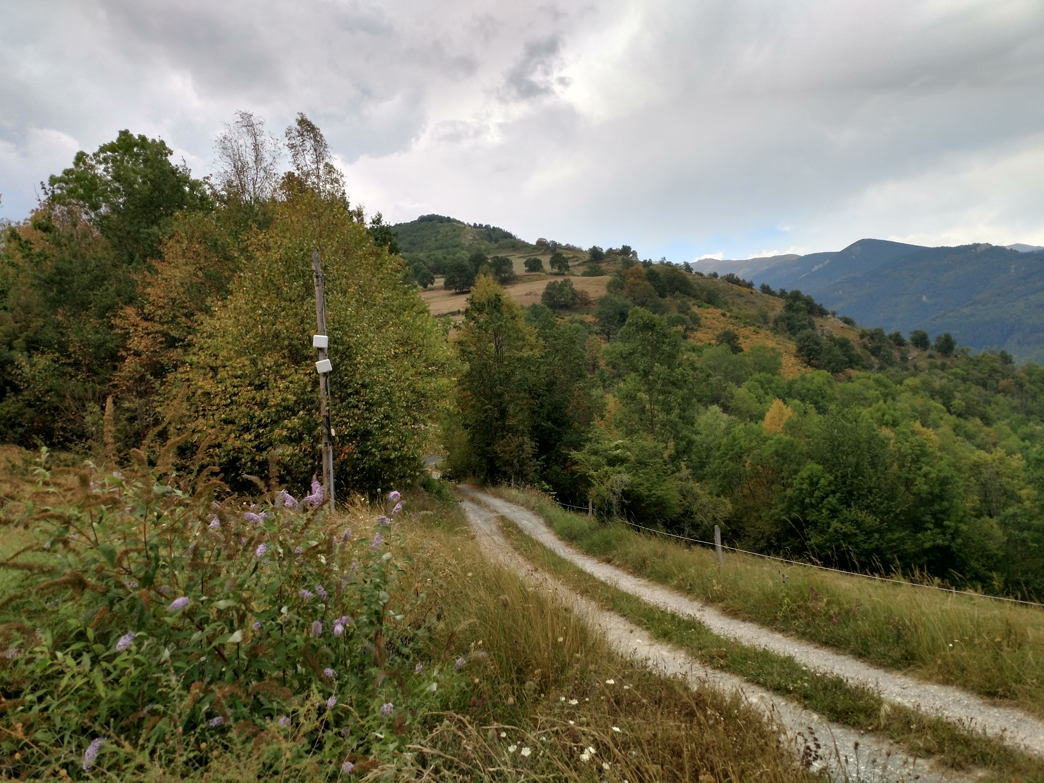 Photo n° 2 de l'avis de Bertrand.o fait le 09/09/2023 à 02:26